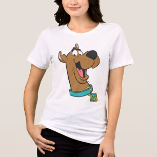 Cara feliz de Scooby-Doo