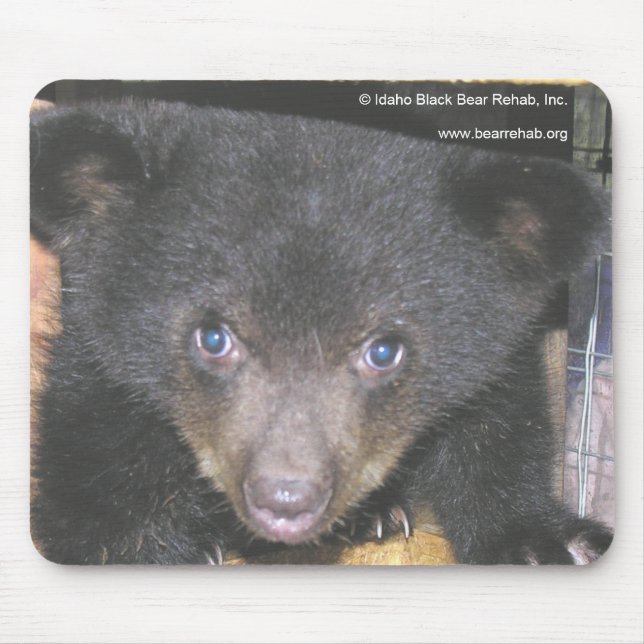 Cara Mousepad do Fim-Acima de Cub de urso (Frente)