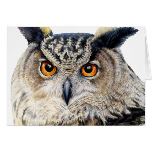 Cara no retrato de um cartão diário da coruja de