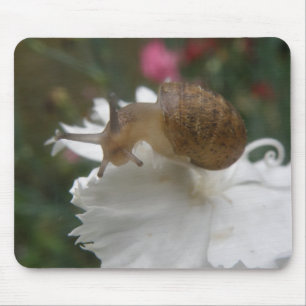 Caracol de jardim e cravo branco Mousepad