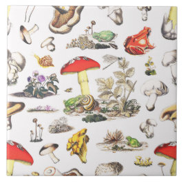 Caracol de Sapos de Cogumelo da Floresta de Cottag