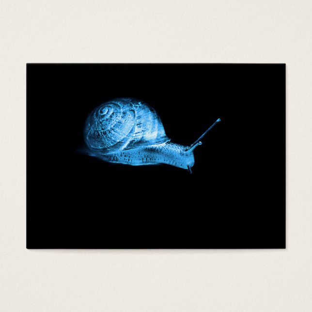 Caracol-neon (Frente)