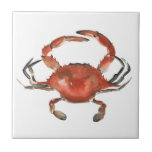 Caranguejo Aquarela - Vermelho<br><div class="desc">"Watercolor Crab" de Emma Scarvey. Apresenta um caranguejo-d-água vermelho sobre fundo branco.</div>