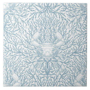 Caranguejo e erva-do-mar, verão costeiro em branco