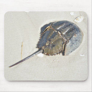 Caranguejo em ferradura Mousepad