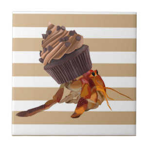 Caranguejo-Mouro-Bonito Com Cupcake De Chocolate