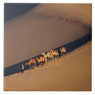 Caravana de camelos no deserto, Dunhuang, Gansu