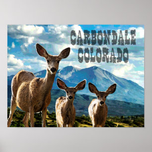Carbondale, poster de Colorado
