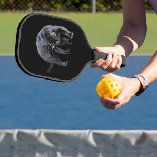 Carbono preto de picleball Jaguar Diablo