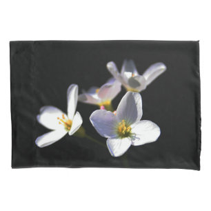 Cardamine Pratensis Flowers pcna