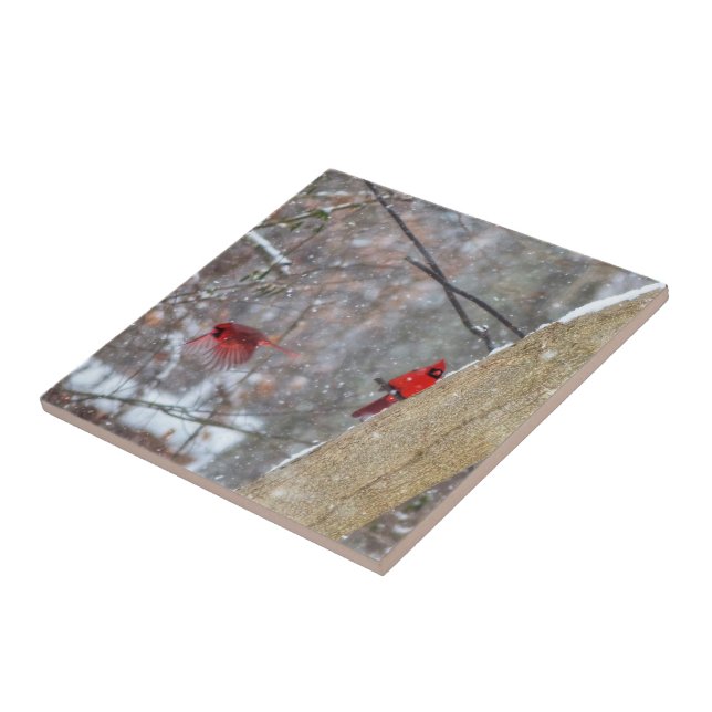 Cardeais na neve (Lateral)