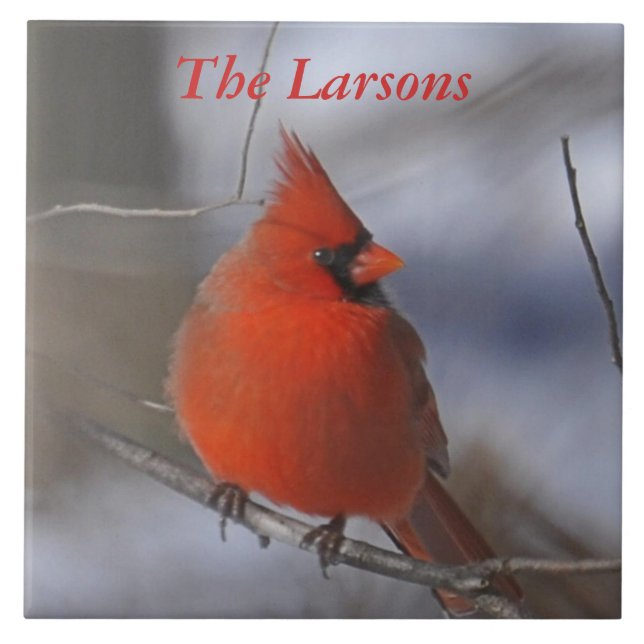 Cardeal do Natal (Frente)