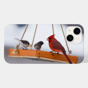 Cardeal e capas de iphone Juncos