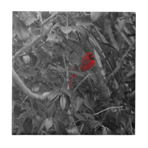 Cardeal em um azulejo de árvore