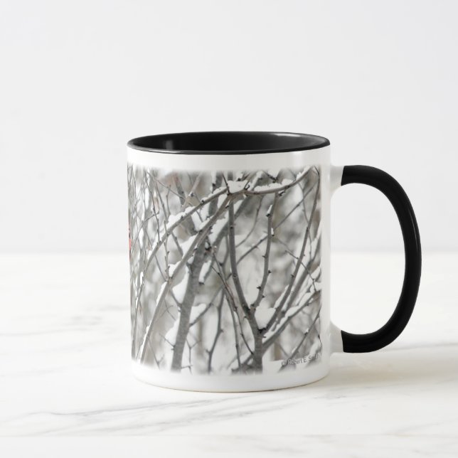 Cardeal na caneca nevado do Dogwood (Direita)