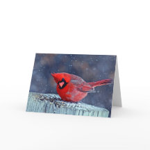 Cardeal nos cartões de saudação da neve