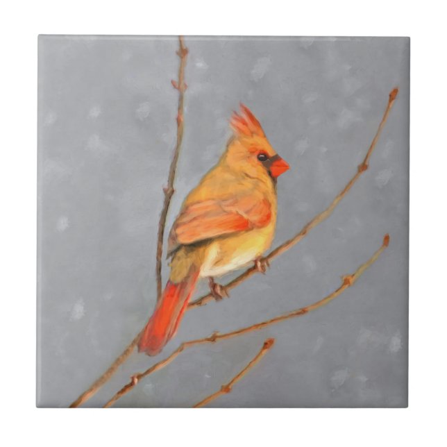 Cardeal para pintura de galho - Arte original de p (Frente)