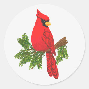 Cardeal vermelho da etiqueta de Scrapbooking,