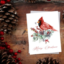 Cardeal Vermelho, Eucalyptus, Natal Verde