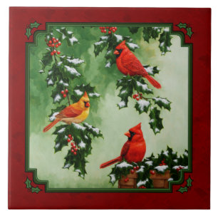 Cardinais de norte e Holly Red