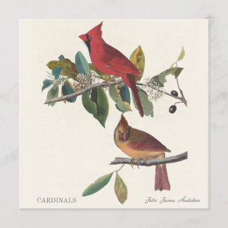 Cardinais por John James Audubon