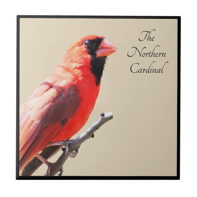 Cardinal (Frente)