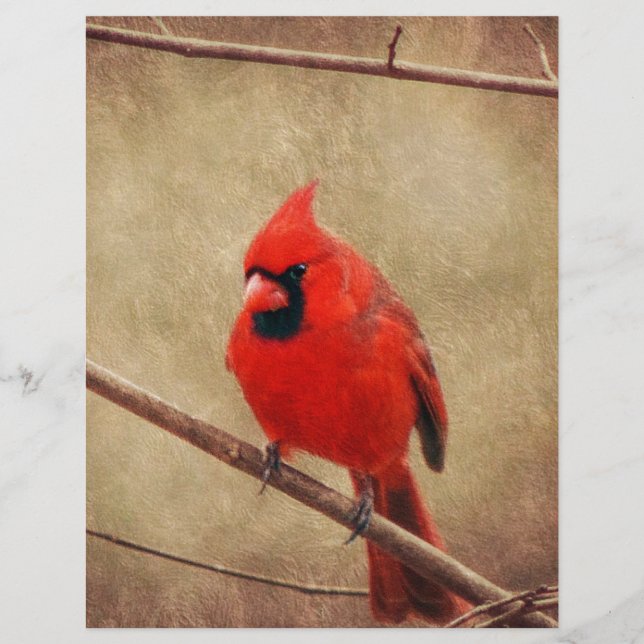 Cardinal (Frente)