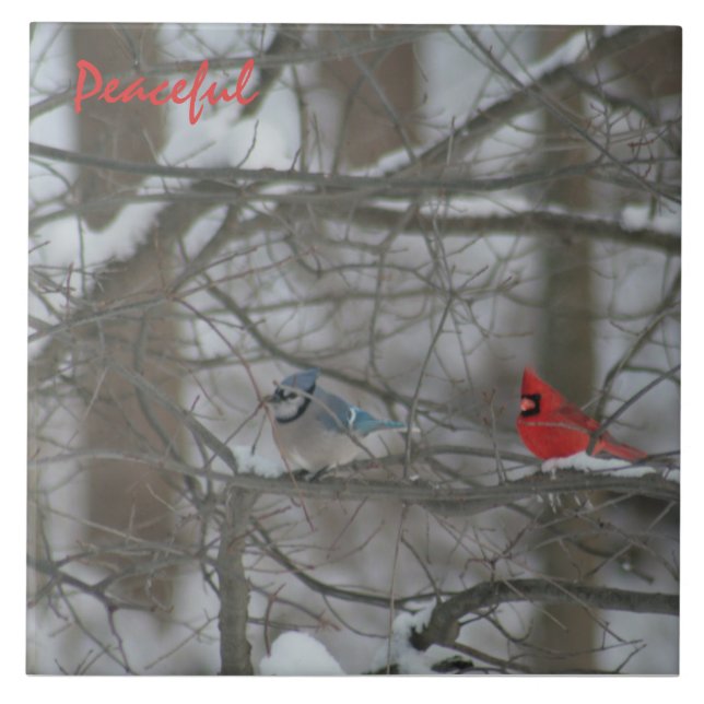 Cardinal and Jay (Frente)