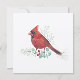 Cardinal Bird Watercolor