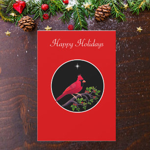Cardinal em preto e vermelho de Natal