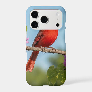 Cardinal em um galho de Redbud