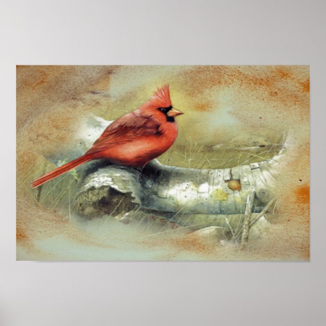 Cardinal Poster (Frente)