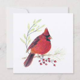 Cardinal Red Bird Art