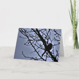 Cardinal Silhouette, cartão
