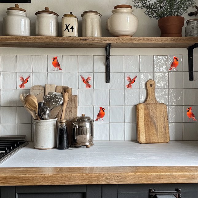 Cardinal Vermelho (Criador carregado)