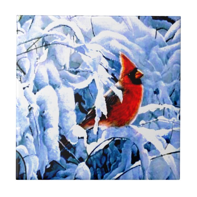 Cardinal Vermelho na Neve de Inverno (Frente)