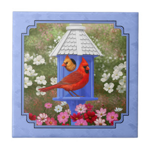 Cardinhos e Azul-Casinha-redonda