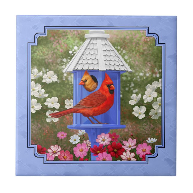 Cardinhos e Azul-Casinha-redonda (Frente)