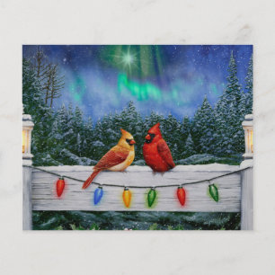 Cardinhos e Luzes de Natal Neve de inverno
