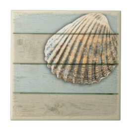 Cardita Shell