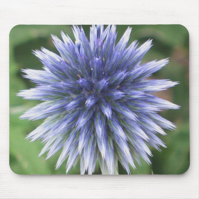 Cardo de globo branco e azul Mousepad (Frente)