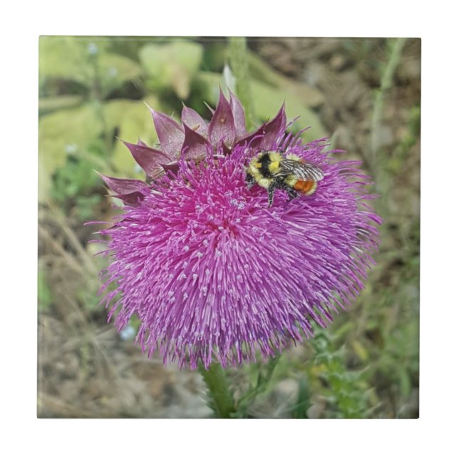 Cardo de inclinação - (Frente)