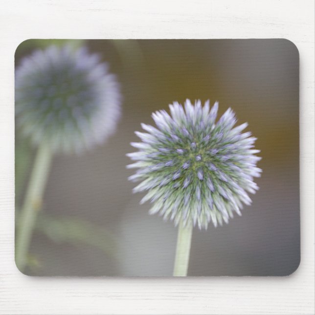 Cardos espelhados Mousepad (Frente)