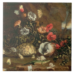 Cardos, flores, répteis e borboletas ao lado