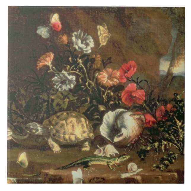 Cardos, flores, répteis e borboletas ao lado (Frente)