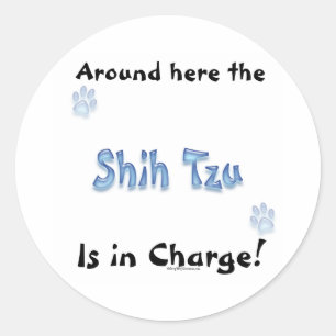 Carga de Shih Tzu - etiqueta