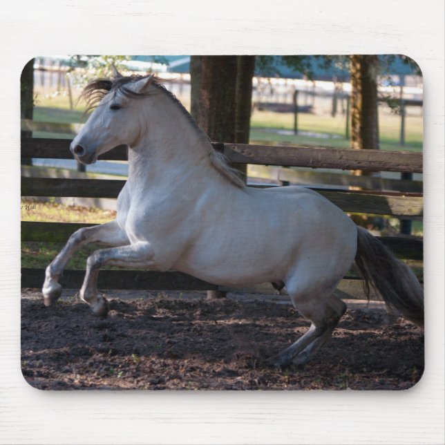 Carga Mousepad (Frente)