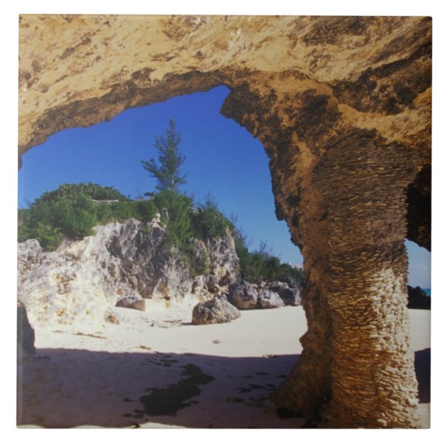 Caribe, Bermudas, Cidade de Tucker.Natural (Frente)