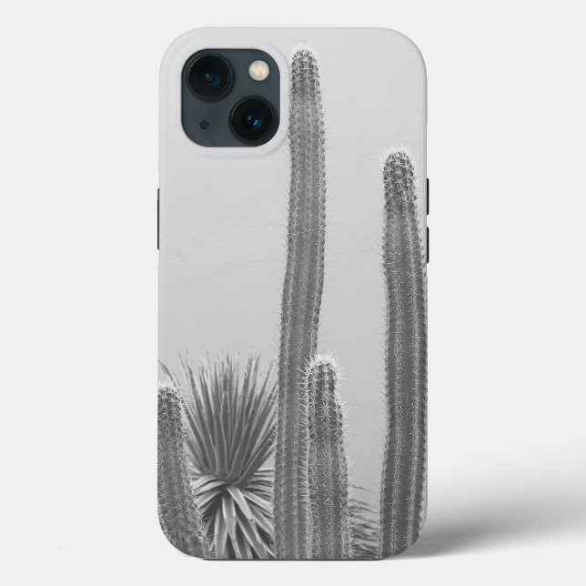 Caribe Cactus Grove Charm 2 #art #nature (Verso)