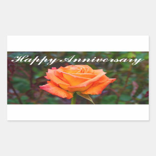 Caribe de aniversário feliz Rosa nº 2 adesivos